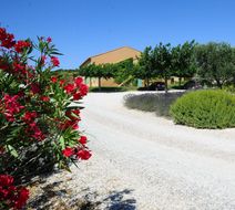 Hotel Terriciae Other