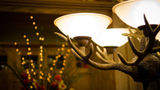 The Fern Lodge Lobby