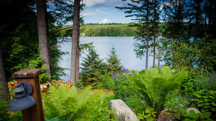 The Fern Lodge