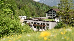 Das Graseck