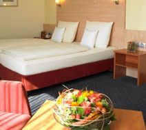 Hotel Adler Room