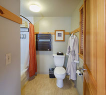 Sleeping Lady Mountain Resort Room