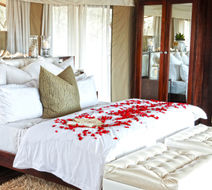 Thanda Private Game Reserve Lobby