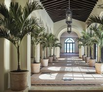Four Seasons Hotel at The Surf Club Lobby