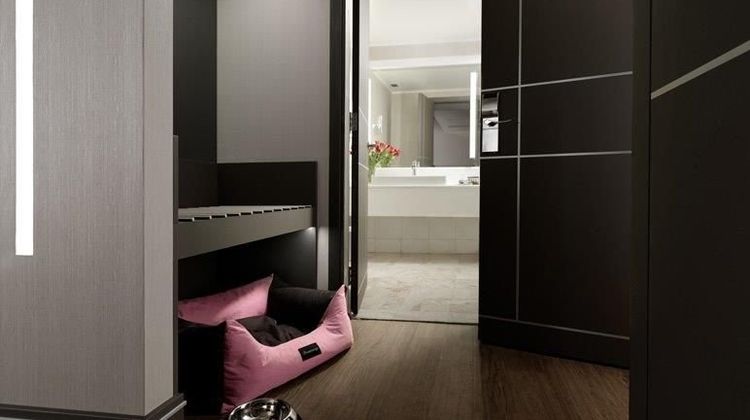 Holiday Suites Room