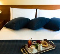 Park Hotel Room