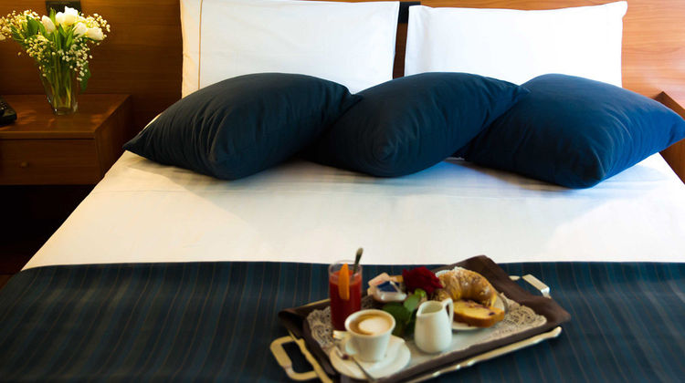 Park Hotel Room