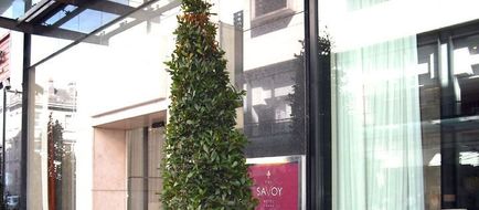 Savoy Hotel Exterior