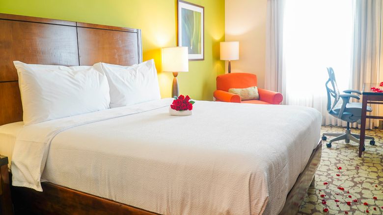 <b>Hilton Garden Inn Panama City Room</b>. Images powered by <a href="https://www.leonardoworldwide.com/" title="Leonardo Worldwide" target="_blank">Leonardo</a>.