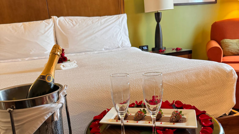 <b>Hilton Garden Inn Panama City Other</b>. Images powered by <a href="https://www.leonardoworldwide.com/" title="Leonardo Worldwide" target="_blank">Leonardo</a>.