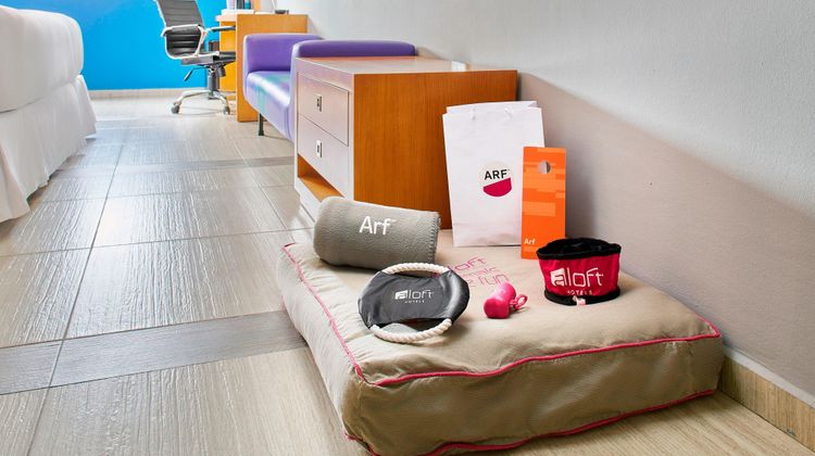 aloft Cancun Other