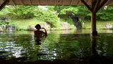 Shizukuishi Prince Hotel Spa