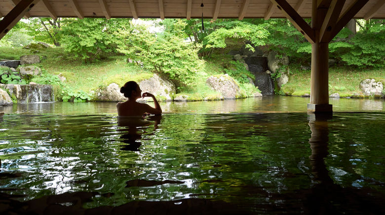 <b>Shizukuishi Prince Hotel Spa</b>. Images powered by <a href="https://www.leonardoworldwide.com/" title="Leonardo Worldwide" target="_blank">Leonardo</a>.
