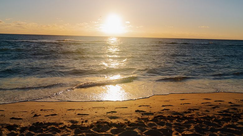 <b>Cardozo South Beach Beach</b>. Images powered by <a href="https://www.leonardoworldwide.com/" title="Leonardo Worldwide" target="_blank">Leonardo</a>.