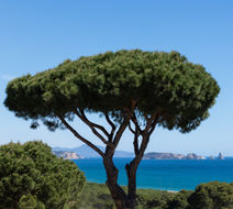 Sa Punta Exterior
