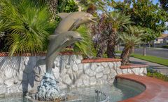 Dolphins Cove