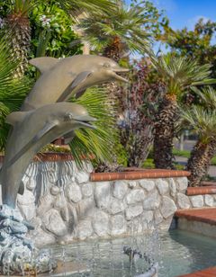 Dolphins Cove