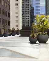 JW Marriott Auckland