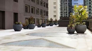JW Marriott Auckland
