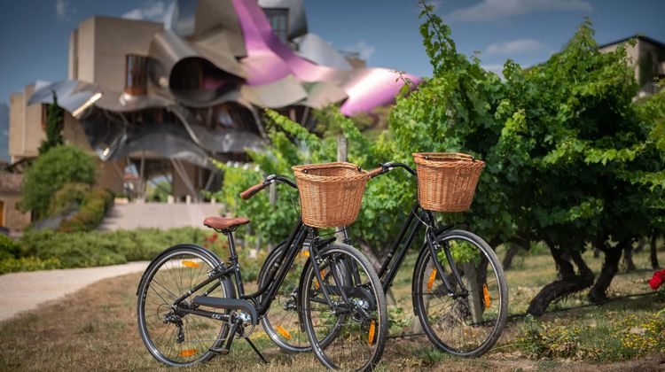 Hotel Marques de Riscal, a Luxury Coll Recreation