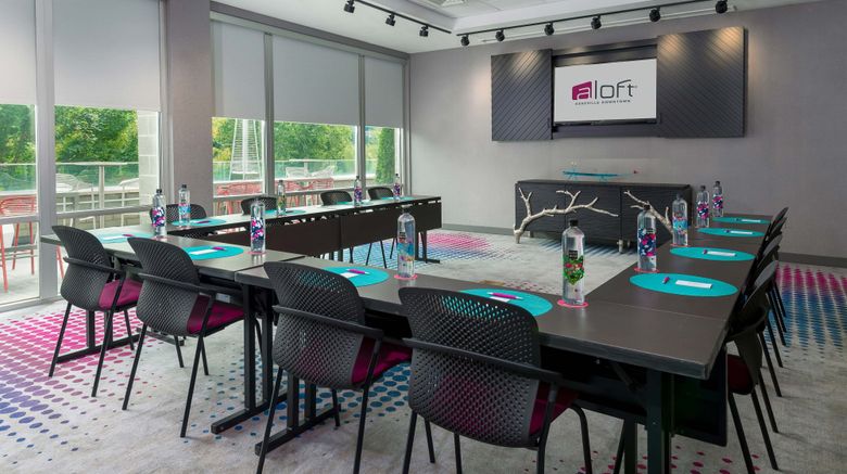 <b>aloft Asheville Downtown Meeting</b>. Images powered by <a href="https://www.leonardoworldwide.com/" title="Leonardo Worldwide" target="_blank">Leonardo</a>.