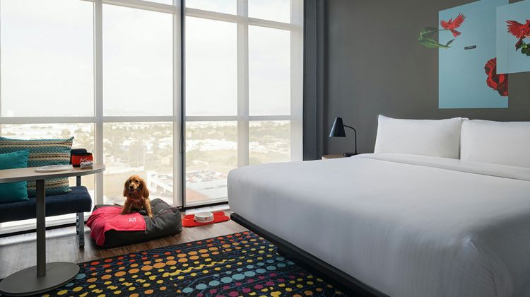 aloft Guadalajara Sur Suite