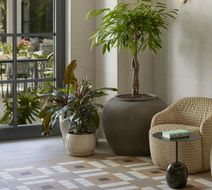 Stradom House, Autograph Collection Lobby