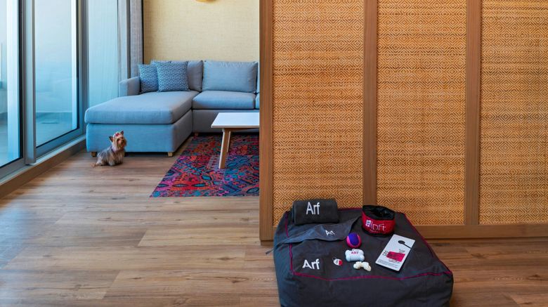 <b>Aloft Playa del Carmen Room</b>. Images powered by <a href="https://www.leonardoworldwide.com/" title="Leonardo Worldwide" target="_blank">Leonardo</a>.