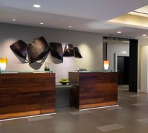 The Baronette Renaissance Detroit-Novi Lobby