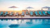 The Westin Sarasota Pool