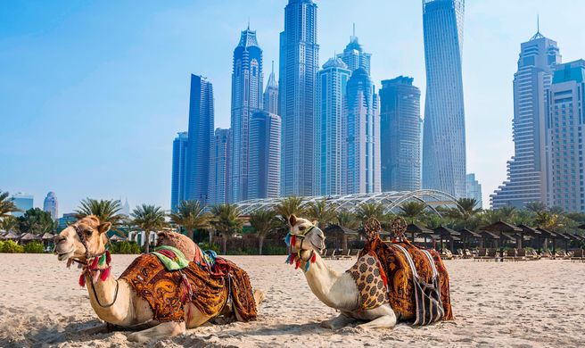 Al Habtoor Grand Resort, Autograph Coll Exterior