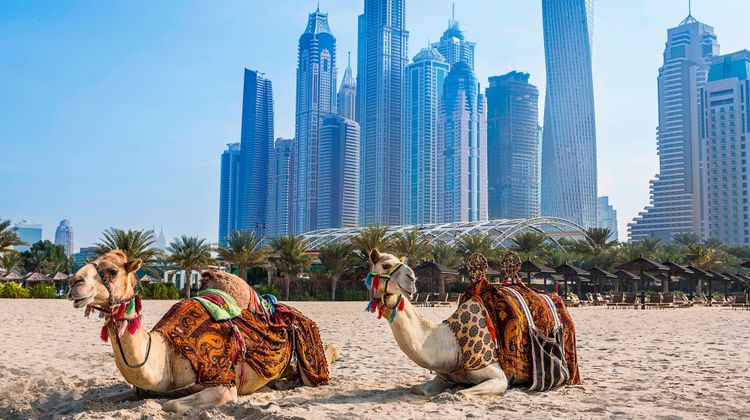 Al Habtoor Grand Resort, Autograph Coll Exterior