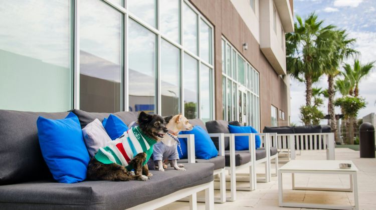 Courtyard by Marriott Hermosillo Other
