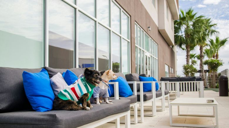 <b>Courtyard by Marriott Hermosillo Other</b>. Images powered by <a href="https://www.leonardoworldwide.com/" title="Leonardo Worldwide" target="_blank">Leonardo</a>.