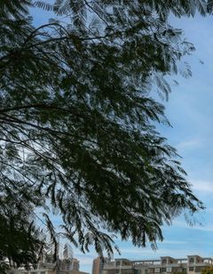 Courtyard Shanwei Haifeng