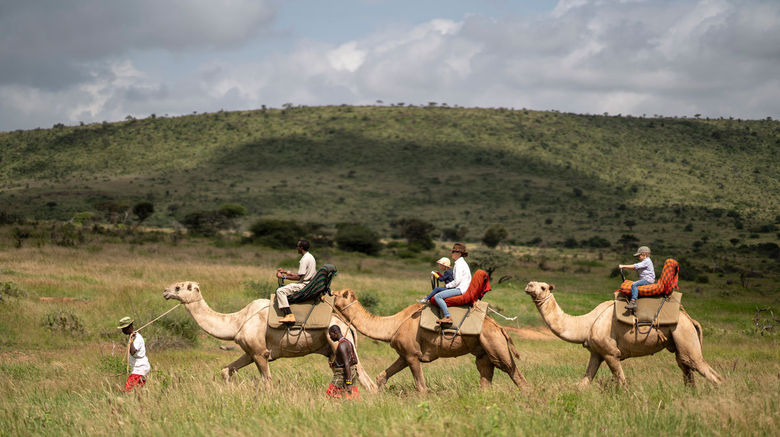 <b>Elewana Loisaba Lodo Springs Recreation</b>. Images powered by <a href="https://www.leonardoworldwide.com/" title="Leonardo Worldwide" target="_blank">Leonardo</a>.