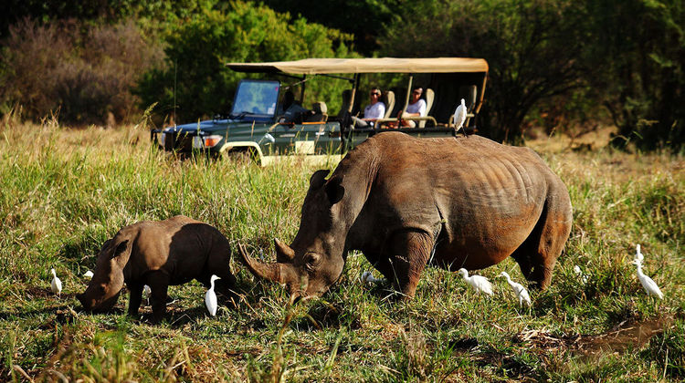 Elewana Elsa's Kopje Other