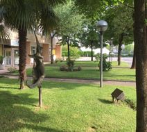 Hotel Garden Exterior