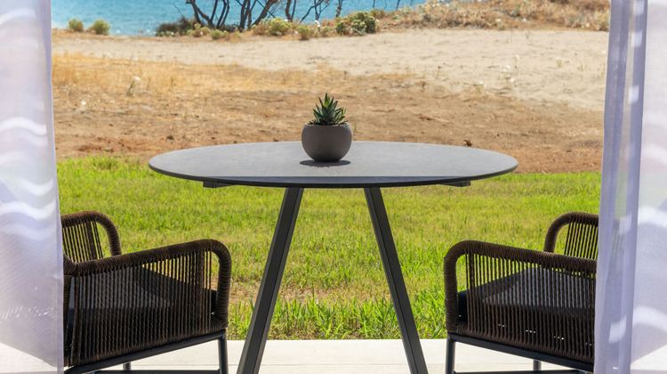 Domes Aulus Zante, Autograph Collection Other