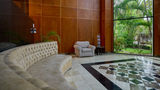 Holiday Inn Tuxtla Gutierrez Other