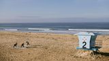 Vespera Resort on Pismo Beach-Autograph Recreation