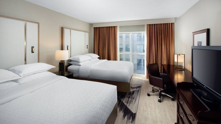 Sheraton Raleigh Hotel Room