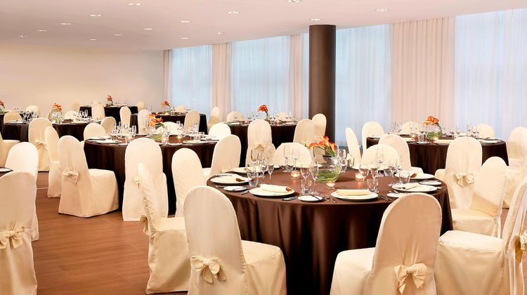 Sheraton Milan Malpensa Hotel & Conf Ctr Meeting