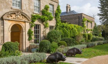 The Pig near Bath