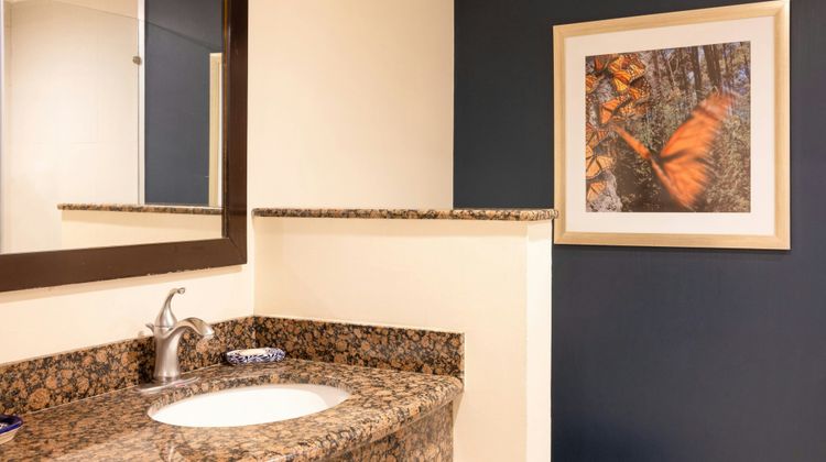 Courtyard by Marriott Toluca Tollocan Room