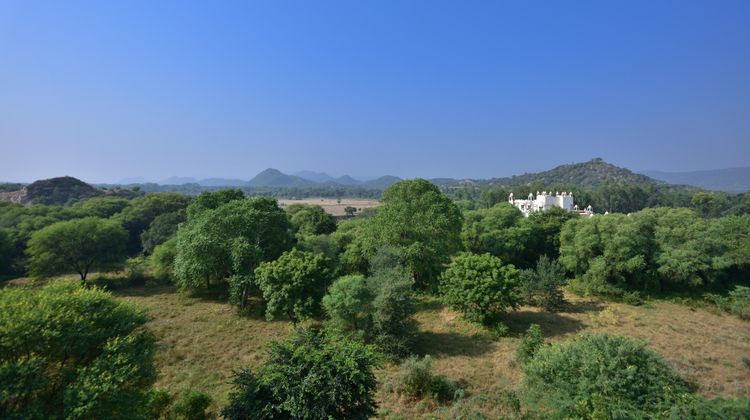 Le Meridien  Jaipur Resort & Spa Suite