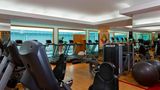 Sheraton Santiago Hotel & Convention Ctr Health Club