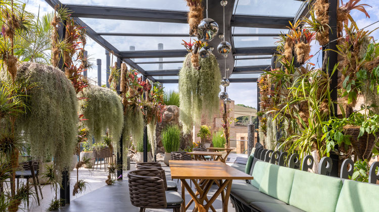 Tribe Hotel, a Design Hotel Restaurant