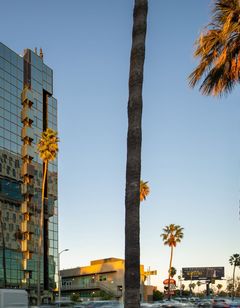 Kasa Sunset Los Angeles