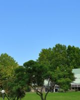 Plaza Inn